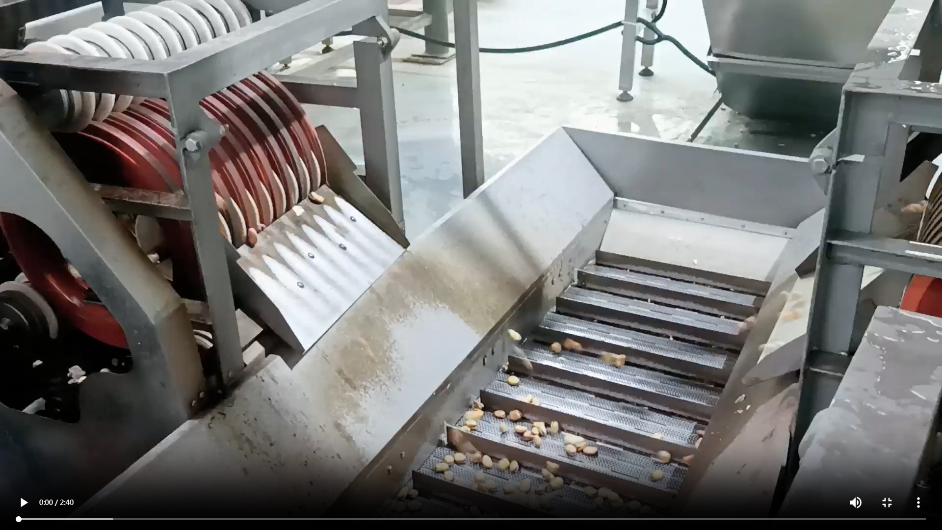 蠶豆油炸生產(chǎn)線